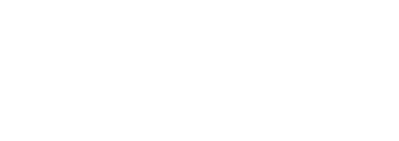 Never logo